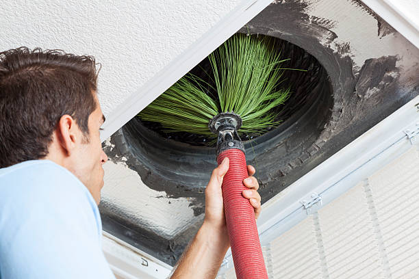 Best Local Air Duct Cleaning Services  in Jackpot, NV